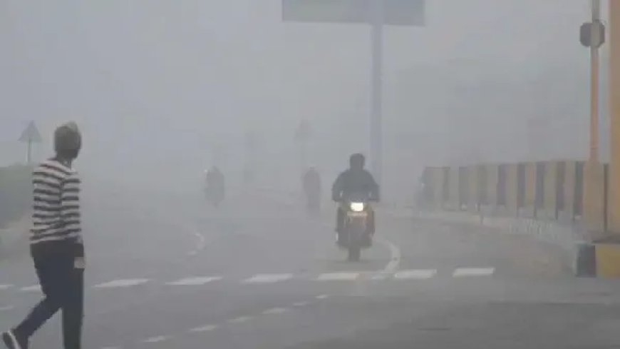 कोहरे को लेकर कुशीनगर प्रशासन अलर्ट,जन धन की सुरक्षा के व्यापक इंतजाम