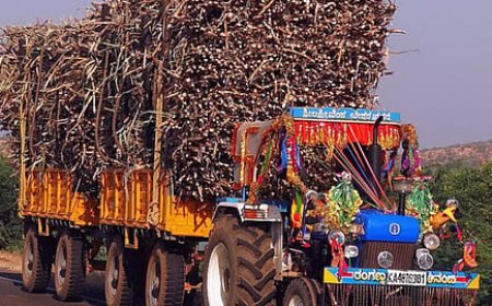 सुरक्षित वाहनों से ही करें गन्ने की ढुलाई, नियम उल्लंघन पर होगी कठोर कार्रवाई: डीएम