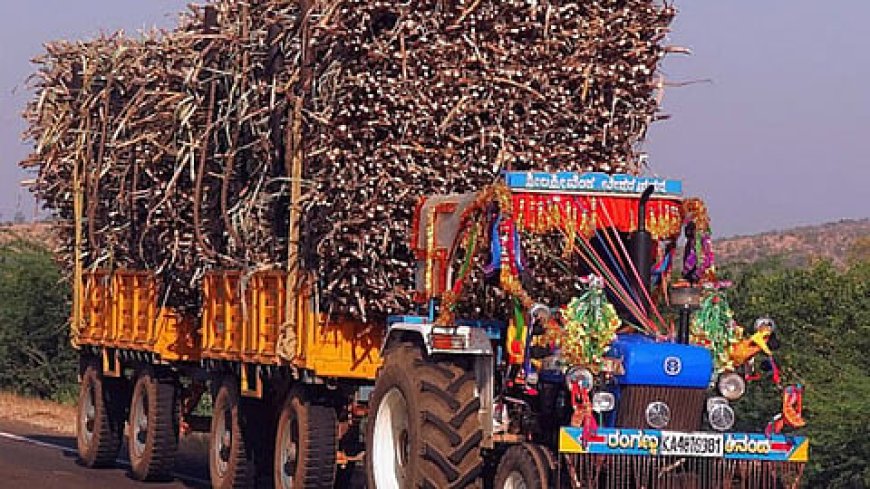 सुरक्षित वाहनों से ही करें गन्ने की ढुलाई, नियम उल्लंघन पर होगी कठोर कार्रवाई: डीएम